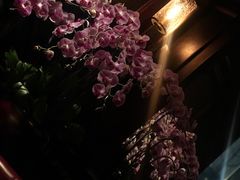 景观位-Wolfgang’s Steakhouse 沃夫冈牛排馆(上海白玉兰广场店)