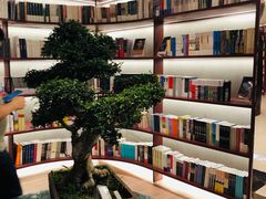 -二酉书店TOYOU BOOKS