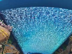 -珠海长隆海洋王国