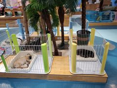 -龟与熊猫宠物公园(南坪店)