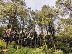 -梦幻奥陶纪景区