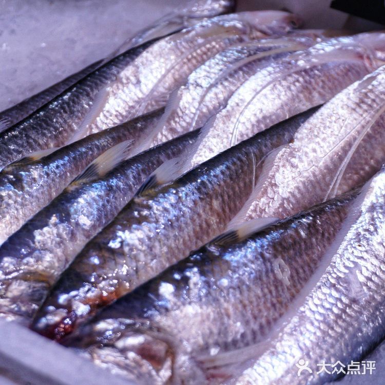 魔都能实现海胆自由的超人气龙虾店