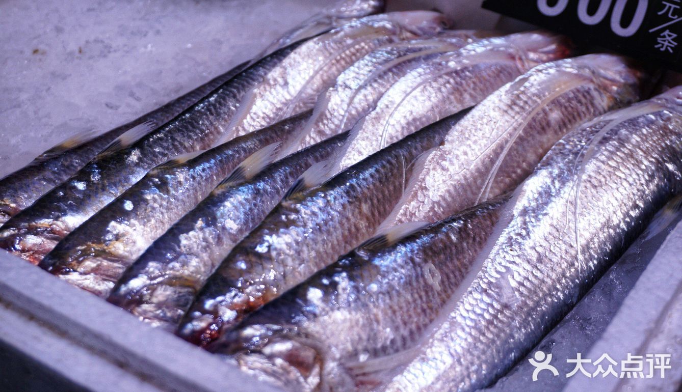 魔都能实现海胆自由的超人气龙虾店