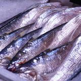 魔都能实现海胆自由的超人气龙虾店