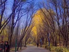 -森林公园(尖草坪区)