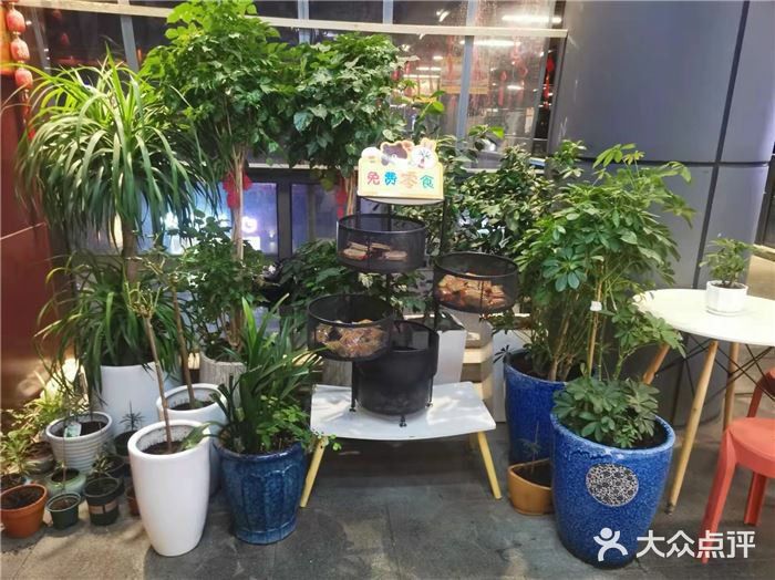 长沙必吃–会喷火的剁椒鱼头🐟