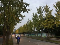 -天宫南铂玫瑰园酒店