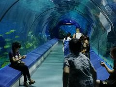 -福州罗源湾海洋世界旅游区