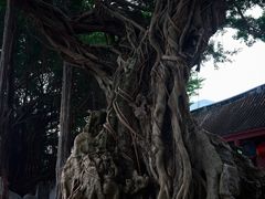-闽粤南澳总镇府