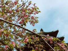 -西安青龙寺遗址景区