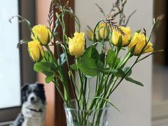 -盒马鲜生(馥邦国际店)