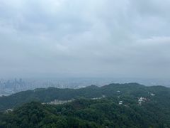 -南山植物园