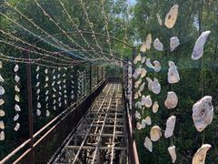 -崖口红树林海鲜餐厅