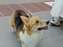 -联合动物医院(光谷诊疗中心)