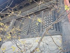 -大觉寺-停车场