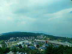 -铁山坪森林公园