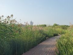 -永定河休闲森林公园