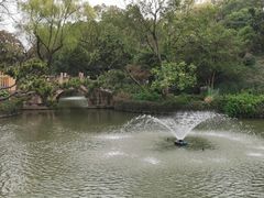 -上海醉白池公园