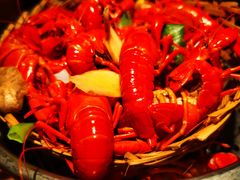 -蚝翅·海鲜粥·烧烤·宁夏滩羊季(玉米楼店)