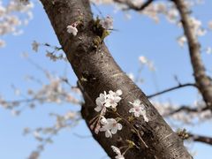 -龙美术馆(西岸馆)