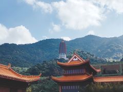 -深圳仙湖植物园