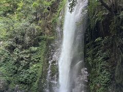 -莫里热带雨林景区