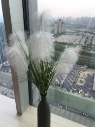 -久匠半永久纹眉