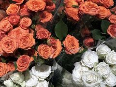 -循礼门鲜花花市(武汉循礼门店)