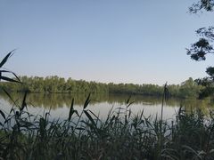 -大湾区中央湿地公园