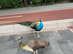 -南宁方特东盟神画