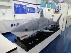 -沈阳海洋探索中心