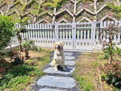 -清水湖度假村(罗浮山美食地标店)