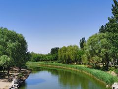 -大兴滨河森林公园