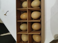 -京彩臻品火锅