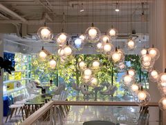 店内布置-Blueglass酸奶(华贸购物中心店)