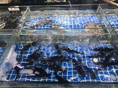 -东沙小镇主题餐厅(下沙店)