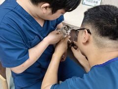 -爱派特动物医院·全科诊疗中心