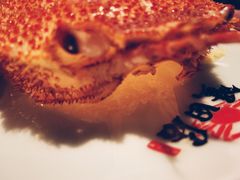 -蟹田居·活蟹料理(东城店)