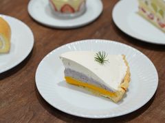 -猫里有甜