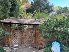 -静安公园(静安寺街道)