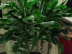 -欧洲房子(宜必思店)