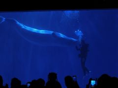 -多彩贵州城极地海洋世界