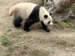 -宁波野生动物园