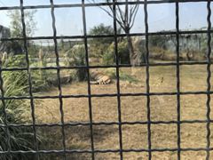 -祥源·阜阳生态乐园