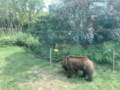 -郑州银基国际旅游度假区