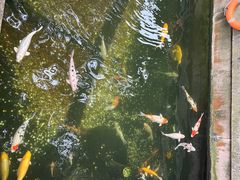 -寒山寺