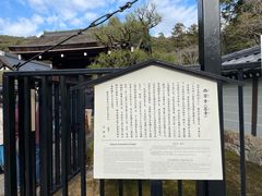 -西芳寺(苔寺)