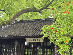 -上海醉白池公园