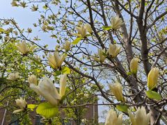 -国家植物园南园