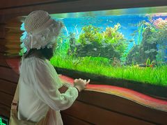 -太平洋海底世界